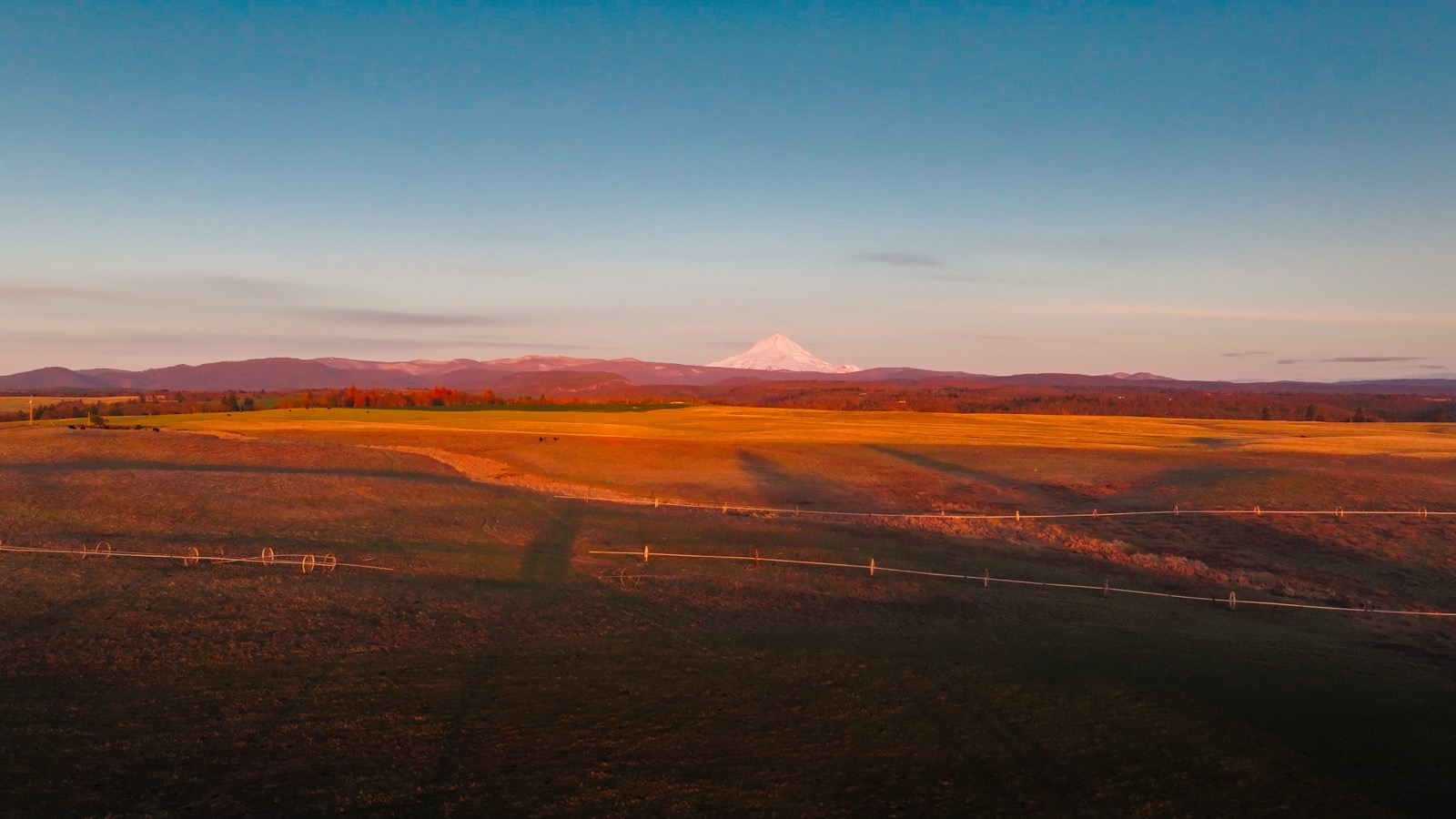 Mt. Hood at sunrise from the ranch